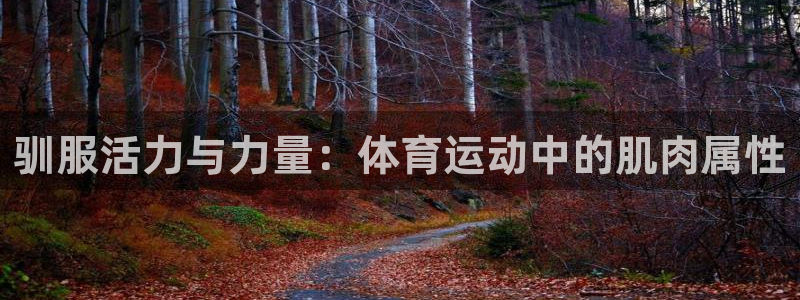谈球吧