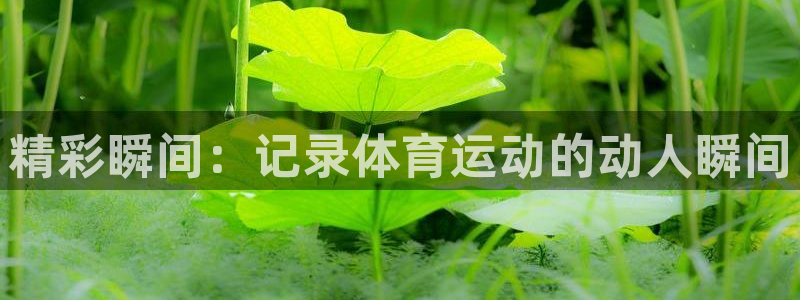 谈球吧体育