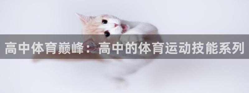 谈球吧体育