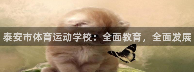 谈球吧体育官网
