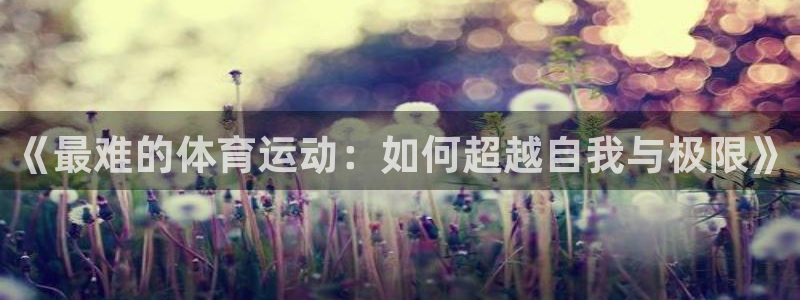 谈球吧体育