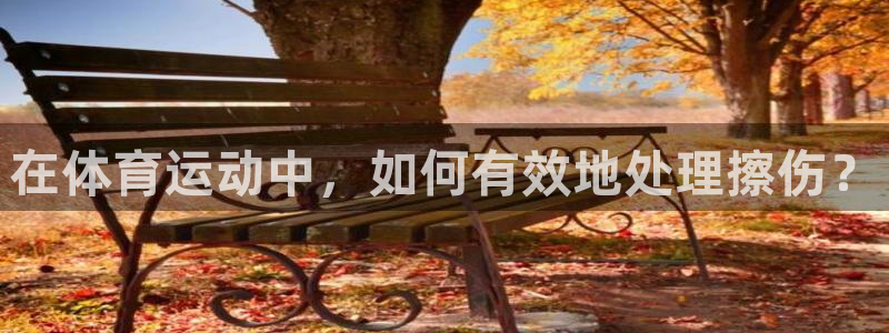 谈球吧