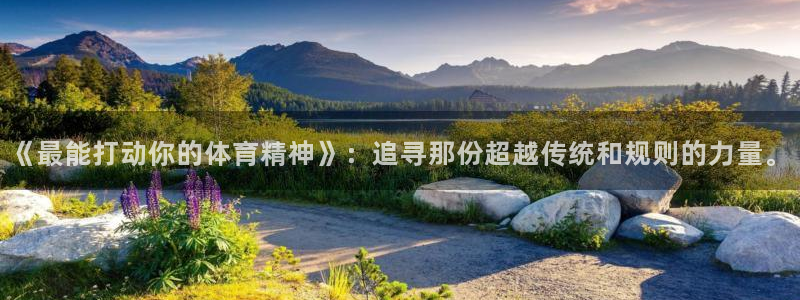 谈球吧体育官网