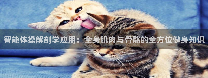 谈球吧