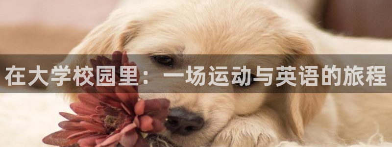 谈球吧体育官网