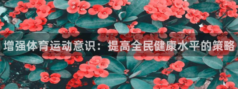谈球吧