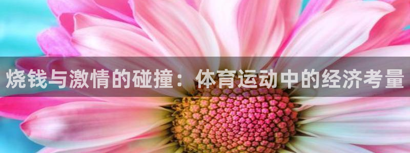 谈球吧