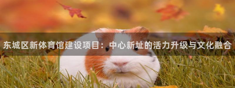 谈球吧体育官网