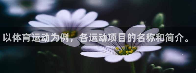 谈球吧