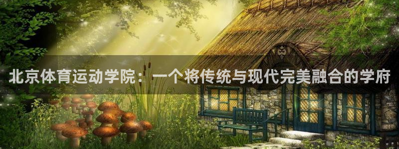 谈球吧体育官网
